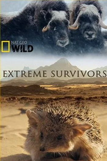 Постер к National Geographic. Выжить несмотря ни на что (2014)