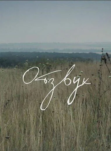 Постер к Отзвук (2015)