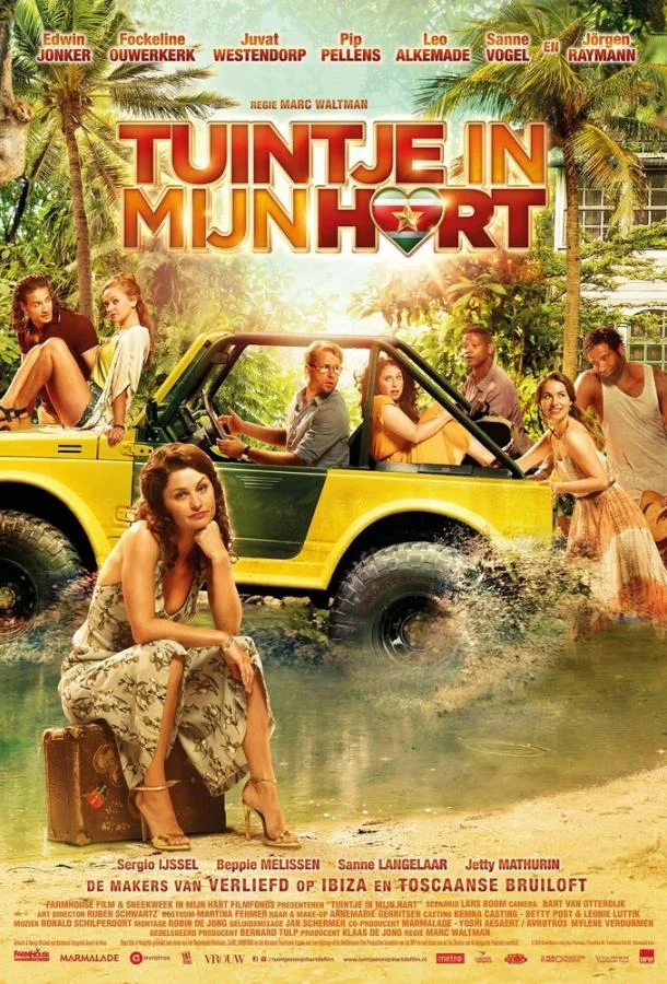 Дом там, где сердце (2017)