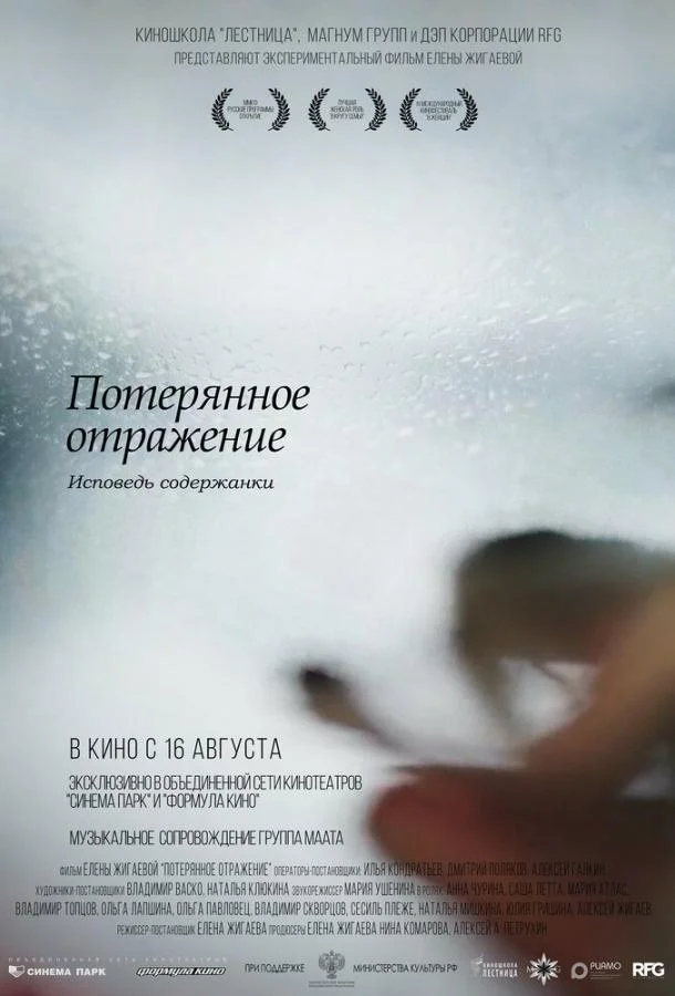 Постер к Потерянное отражение: Исповедь содержанки (2017)